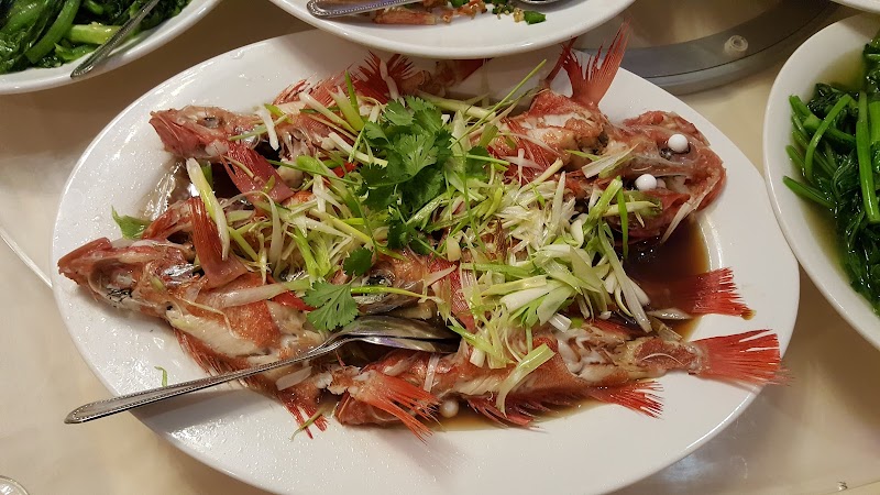 Dynasty Chinese Cuisine — restaurant